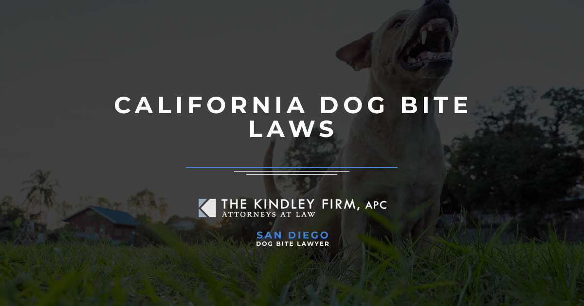 California Dog Bite Laws | The Kindley Firm, APC